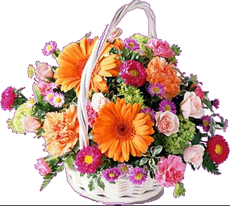 Afficher l�image source